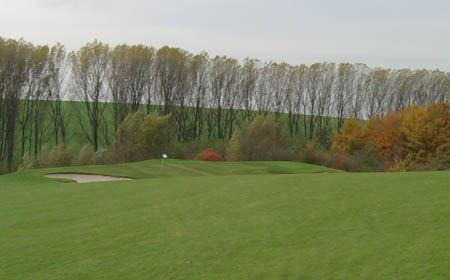 Green, green grass