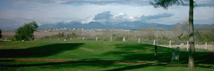 Do not make too many practice swings